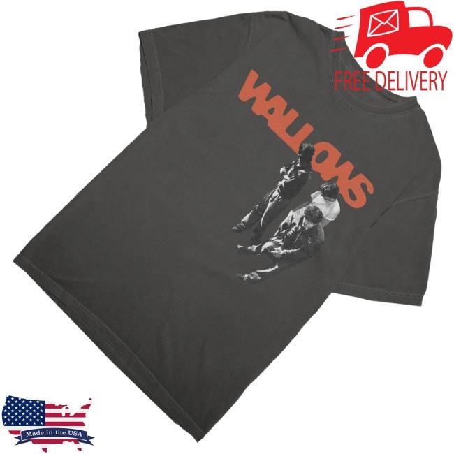 Official Wallows Merch Waiting Photo Tee Shirt - Good Tee Store