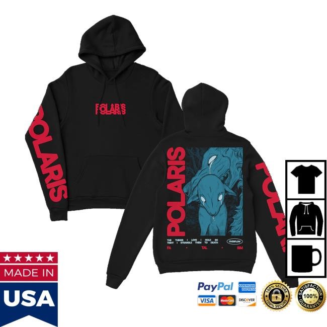 Artistfirst Merch Polaris Overflow Hoodie - Good Tee Store